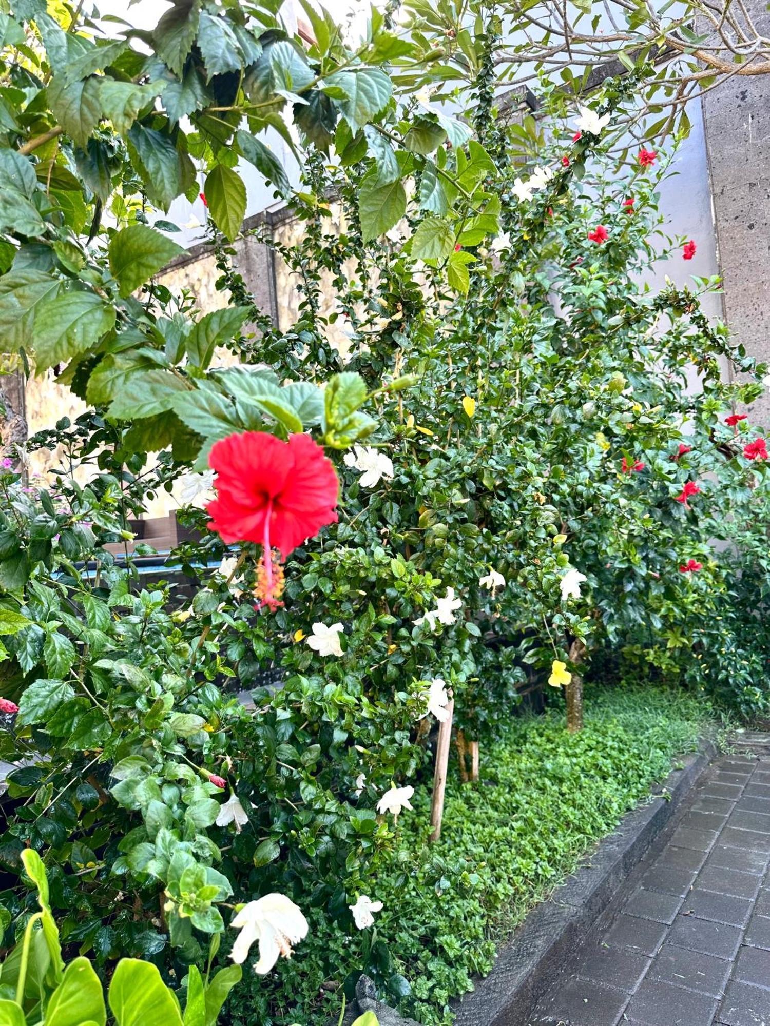 Radha Bali Hotel Кута Экстерьер фото
